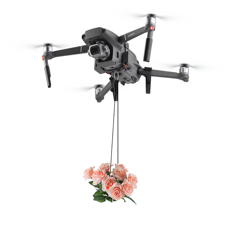 Система каплевидной подарочной – обзор и цена Drone Rc Dji